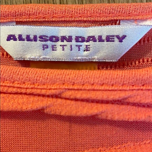 Allison Daley Women's Orange Textured Top PL/G Sz L - Picture 2 of 4